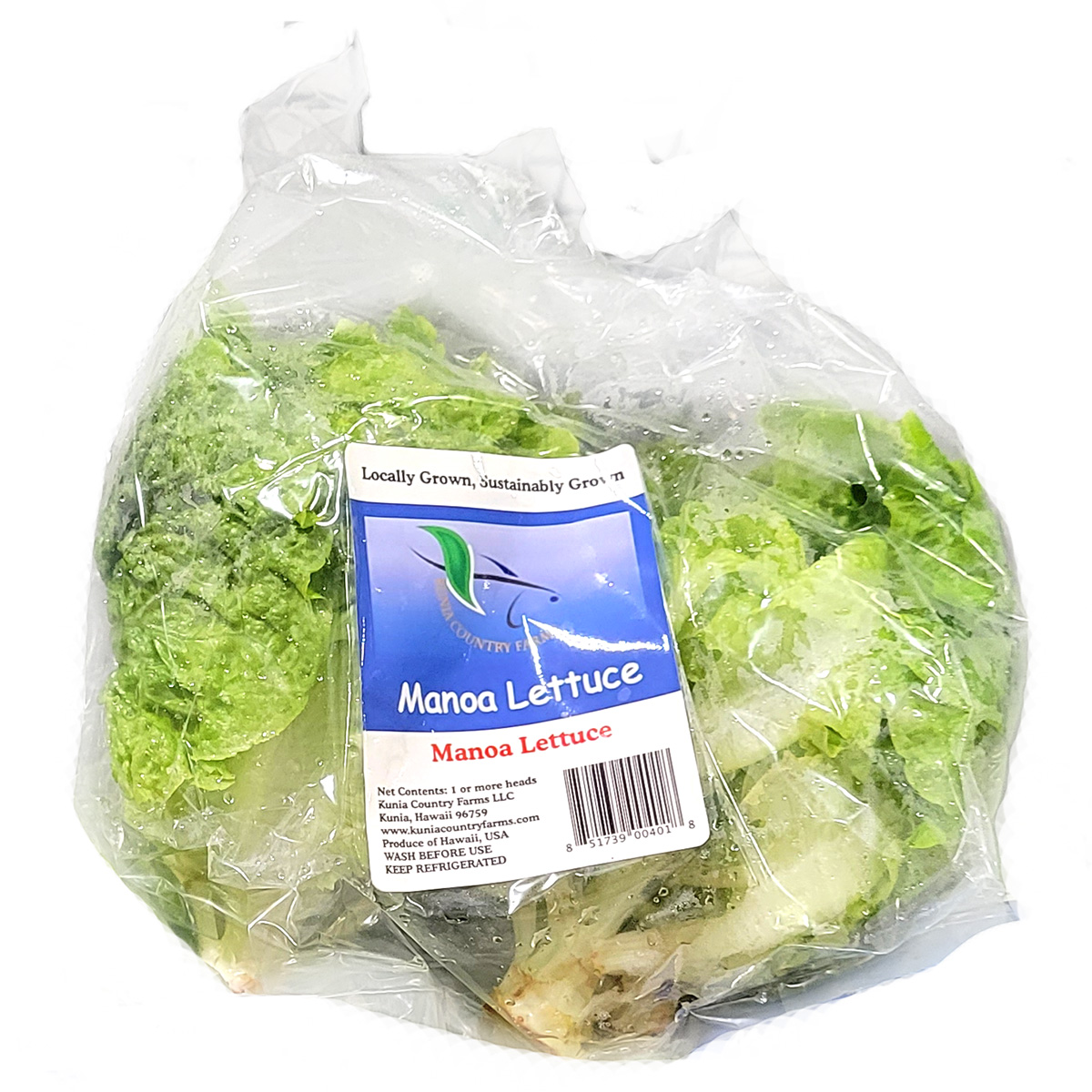 Manoa Lettuce