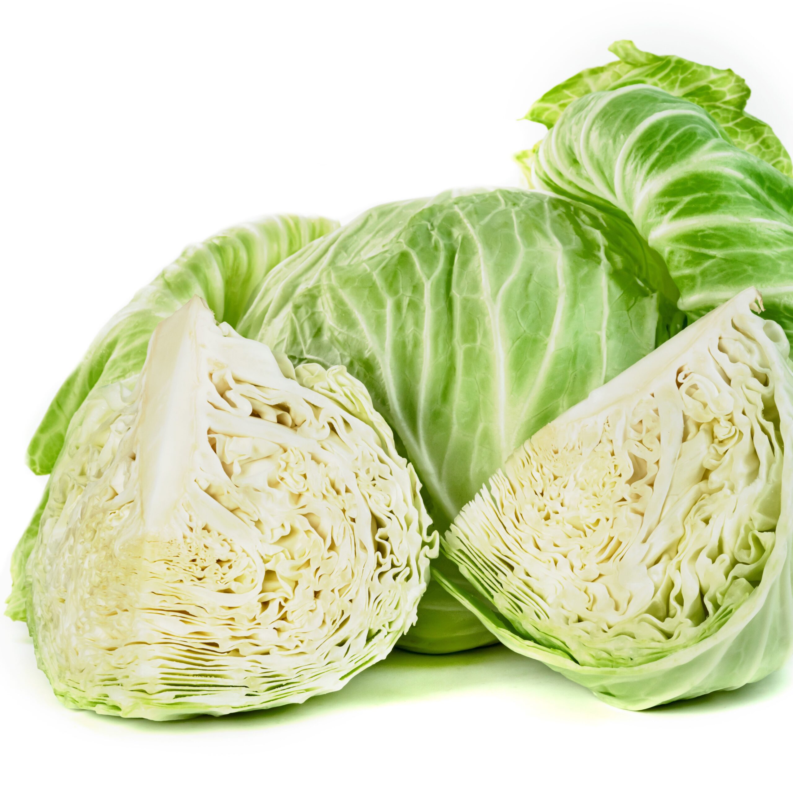 Green Cabbage