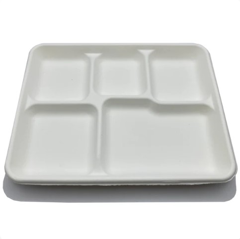 5 Compartment Rectangle Luau Plate 10.4X8.5''