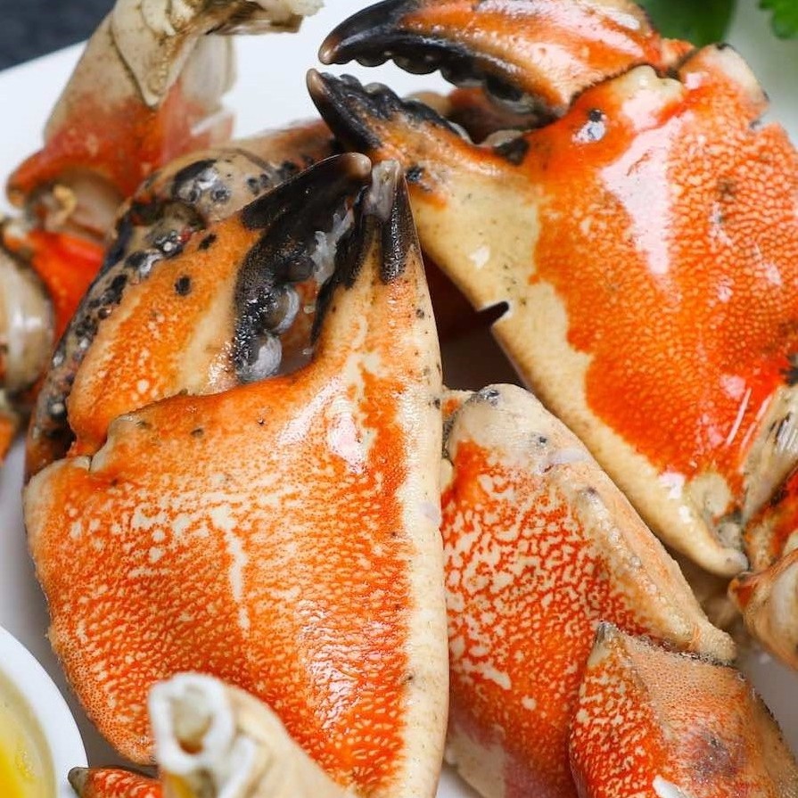 Jonah Crab Claws and Arms