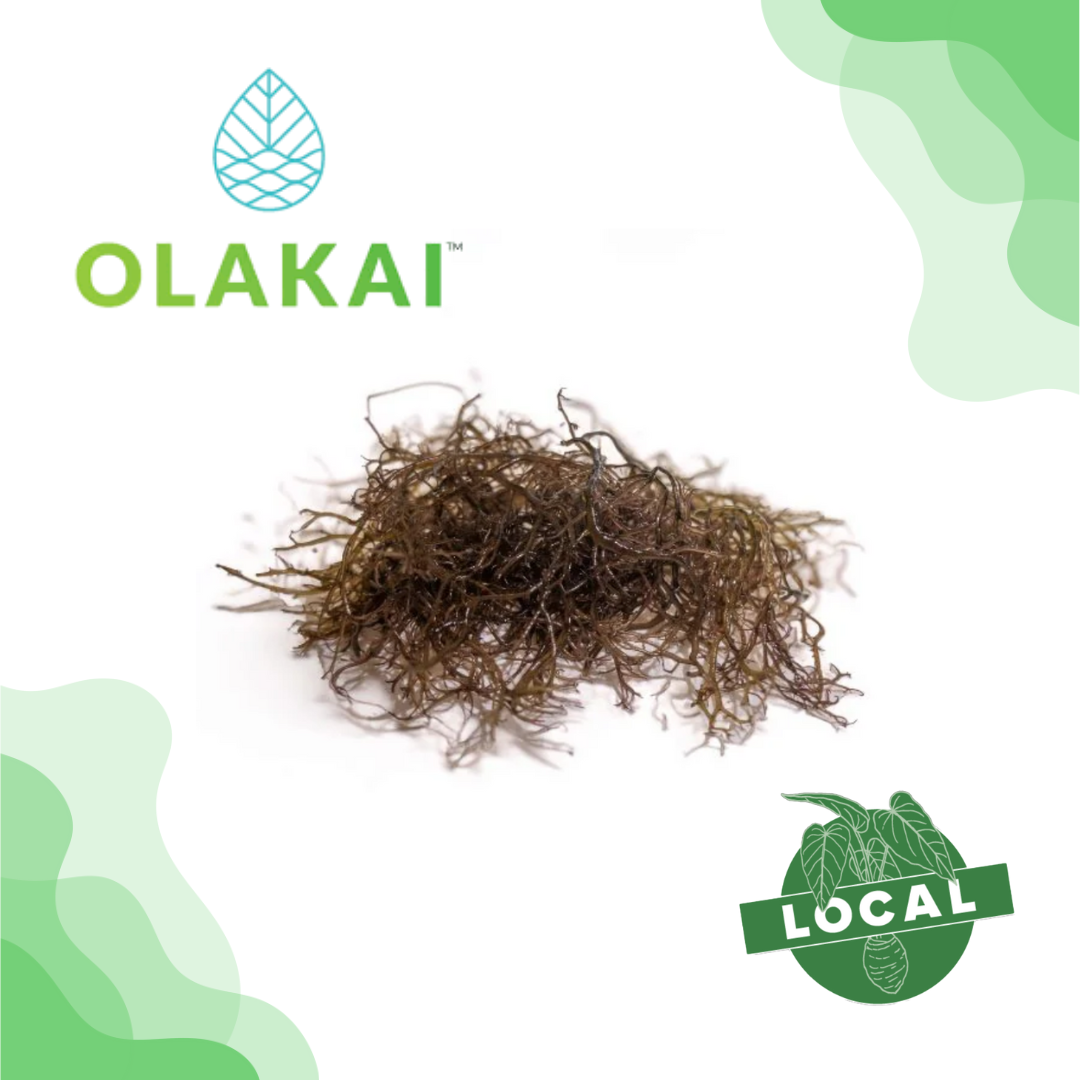 Olakai Hawaii Ogo