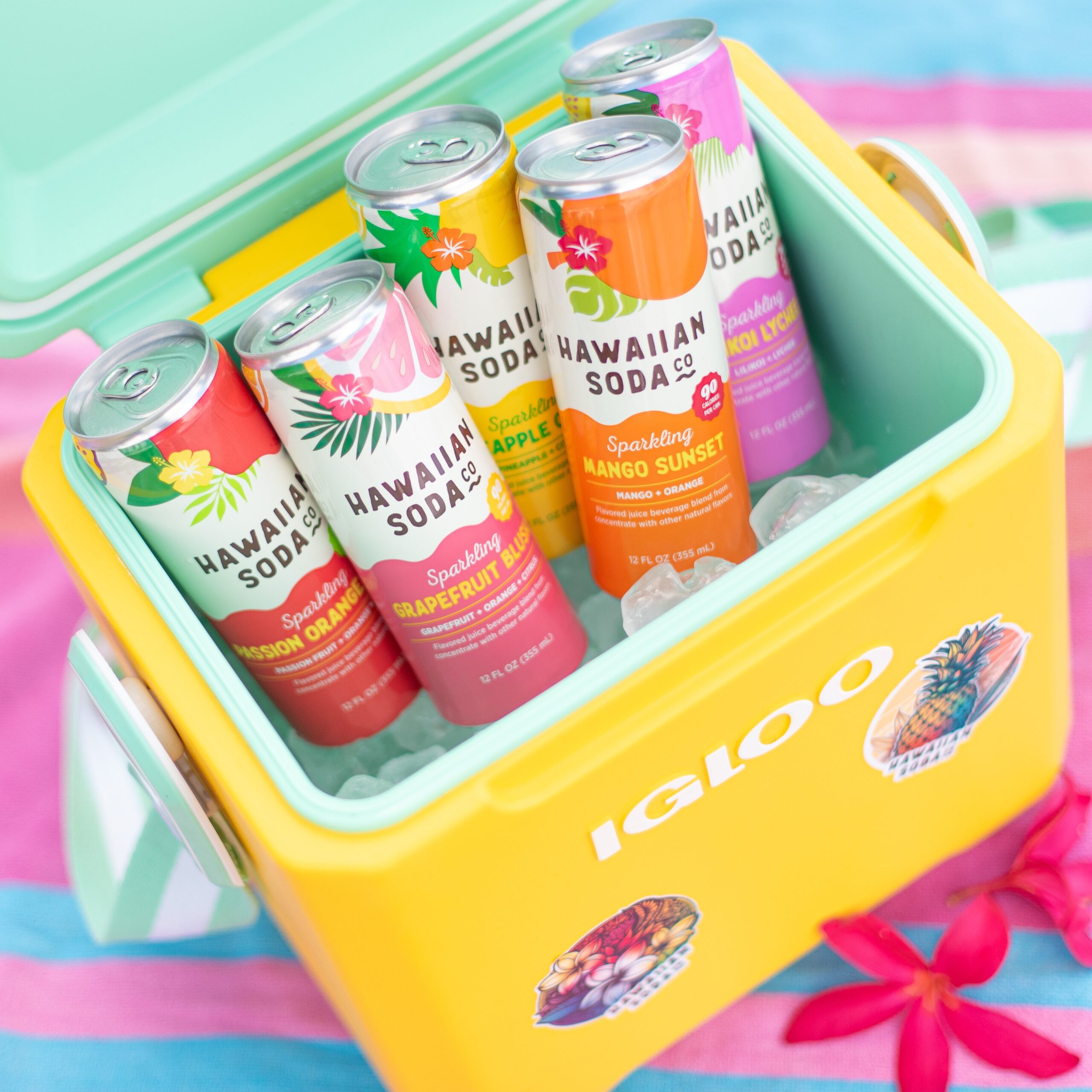 Hawaiian Soda Company