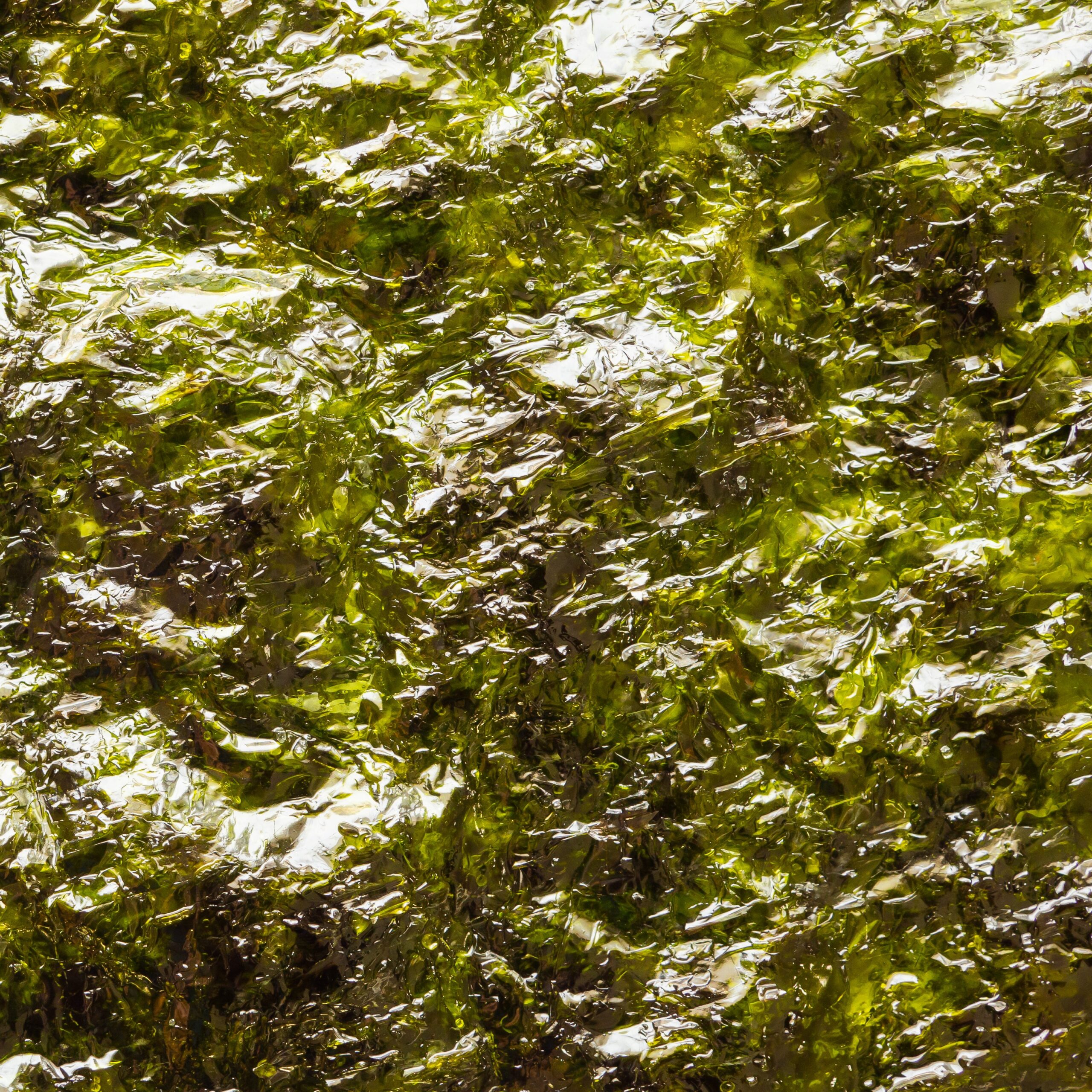 Nori