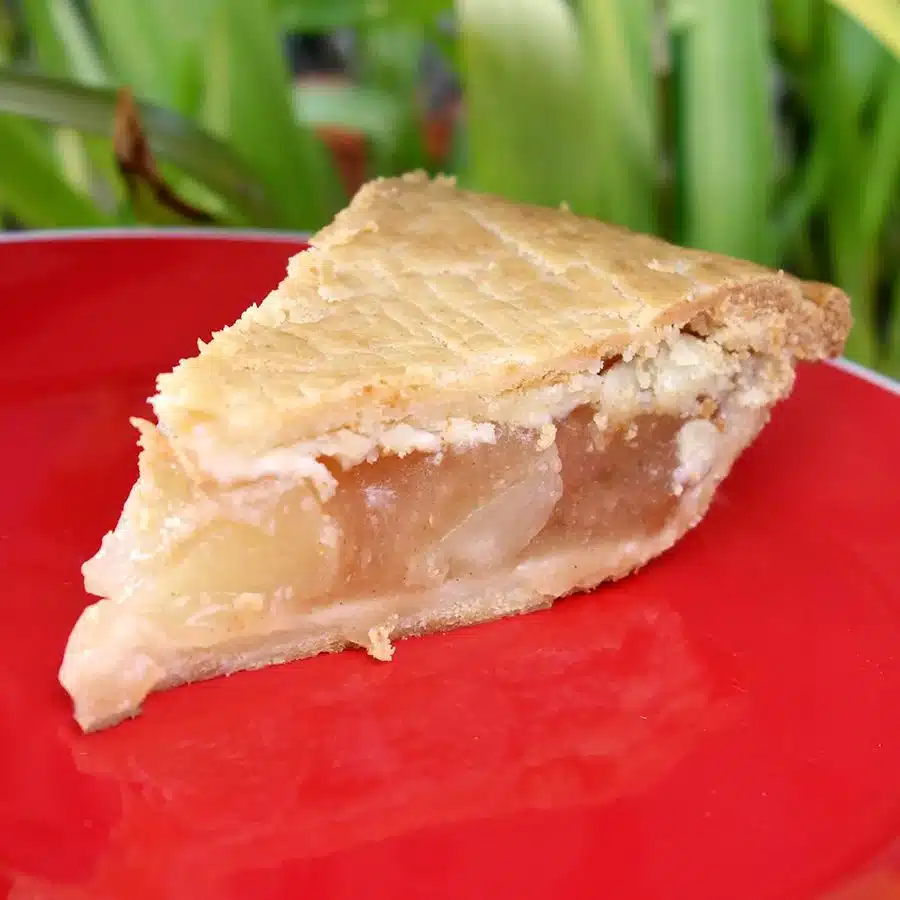 Seasoned Inari Bean Curd